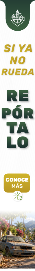 spot_img